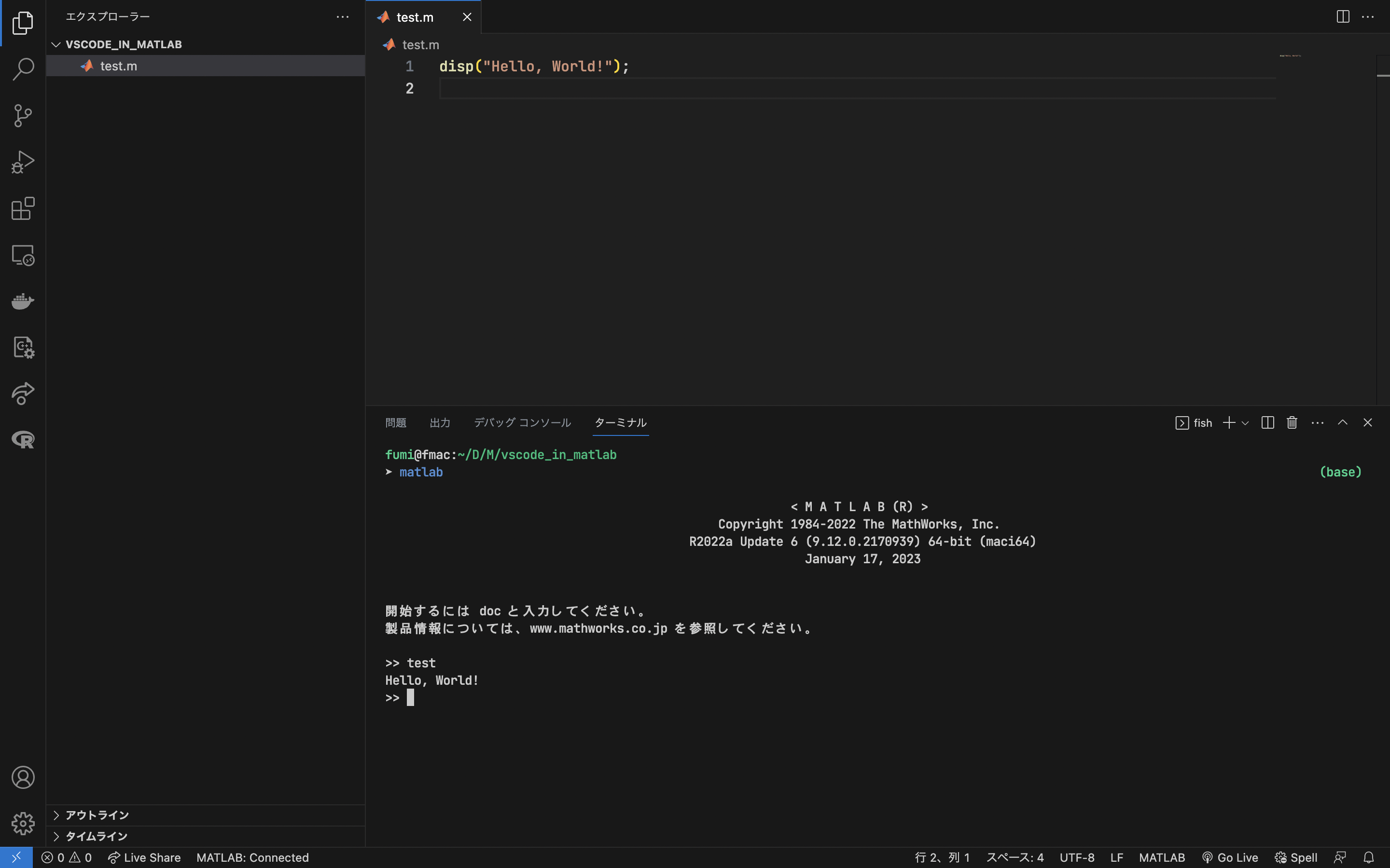 MATLAB in VSCode